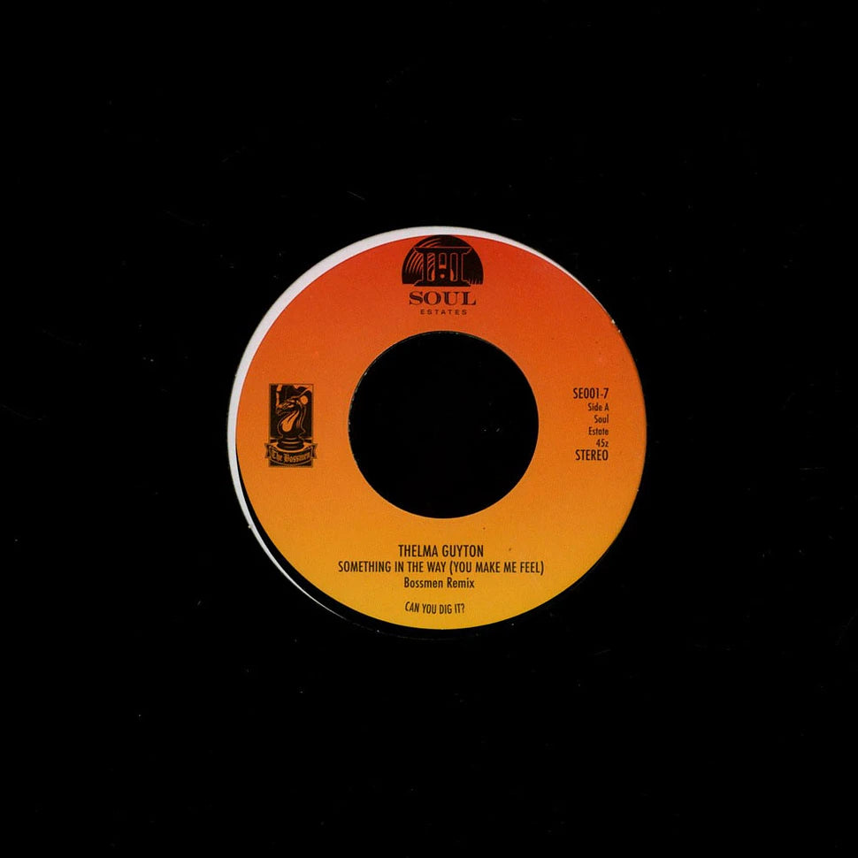 Thelma Guyton – Something In The Way (You Make Me Feel)