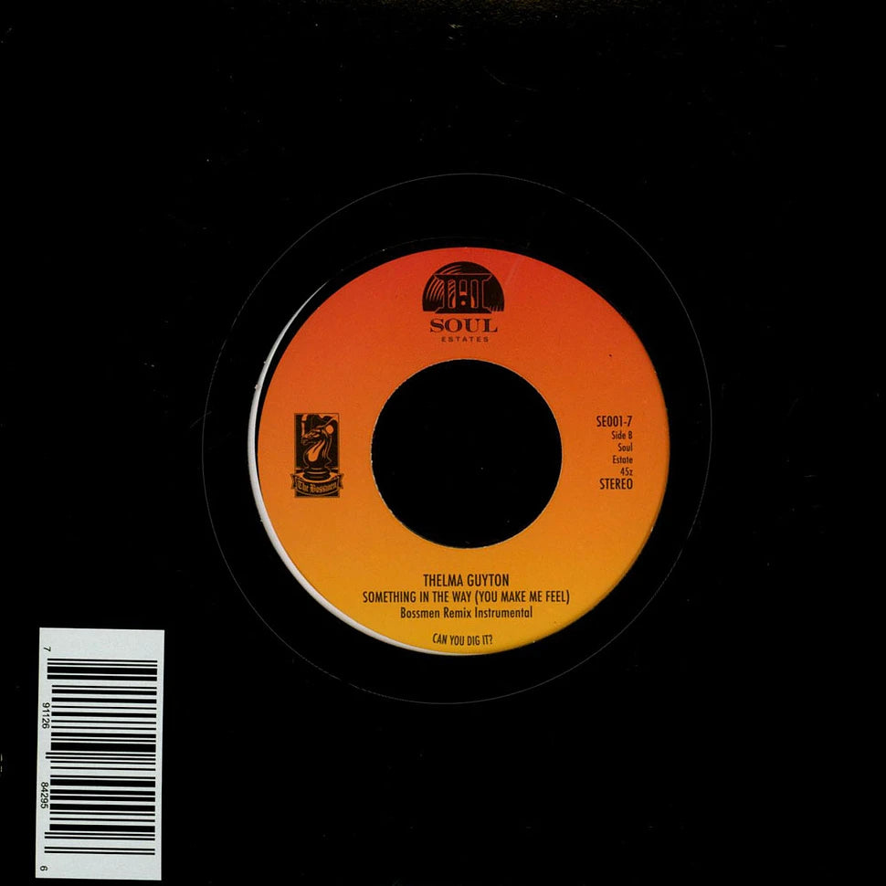 Thelma Guyton – Something In The Way (You Make Me Feel)