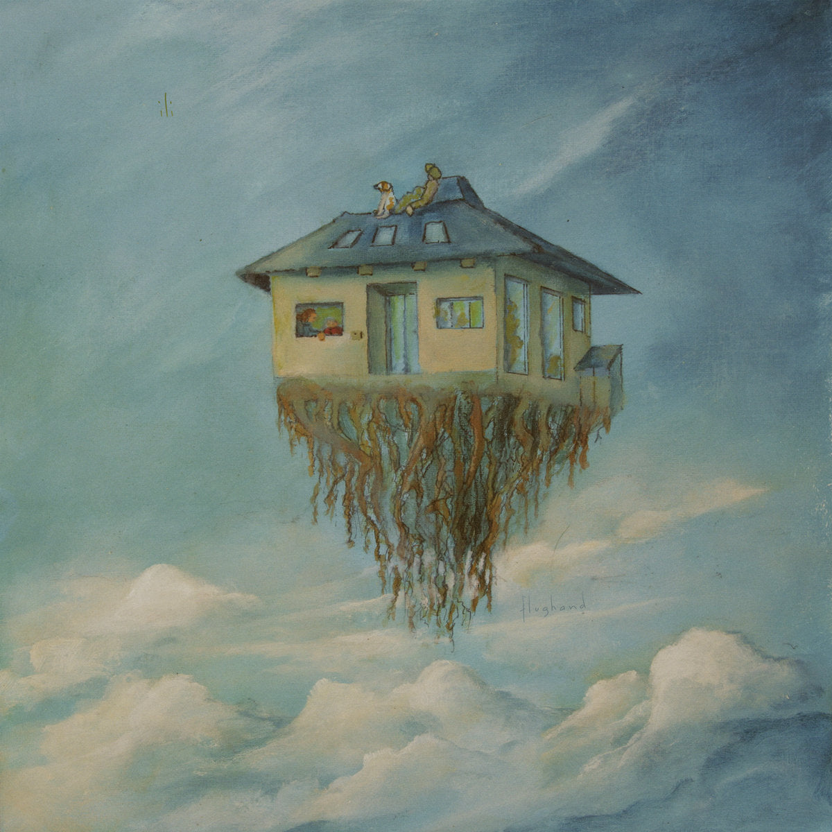 Flughand – ili