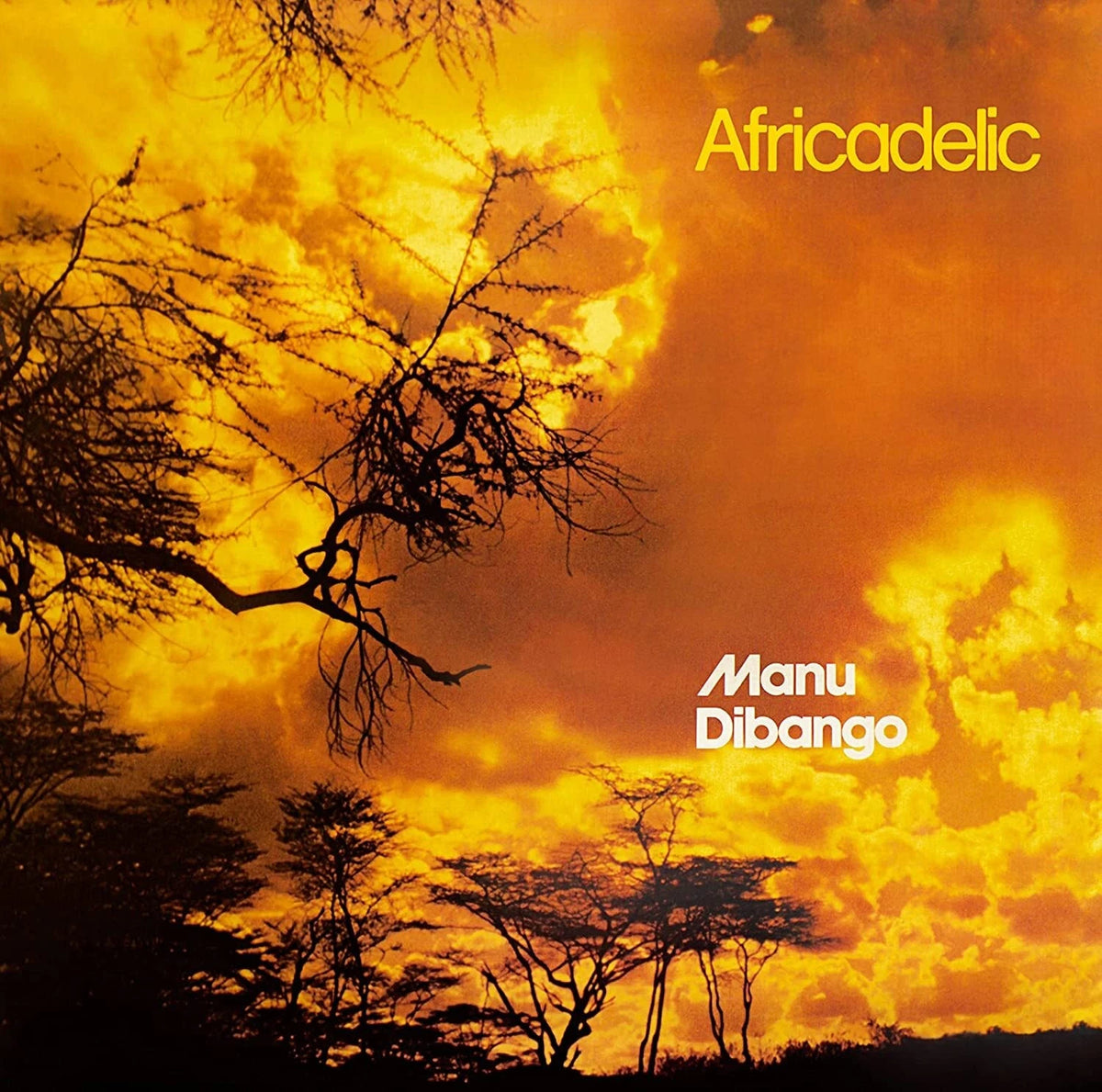 Manu Dibango – Africadelic