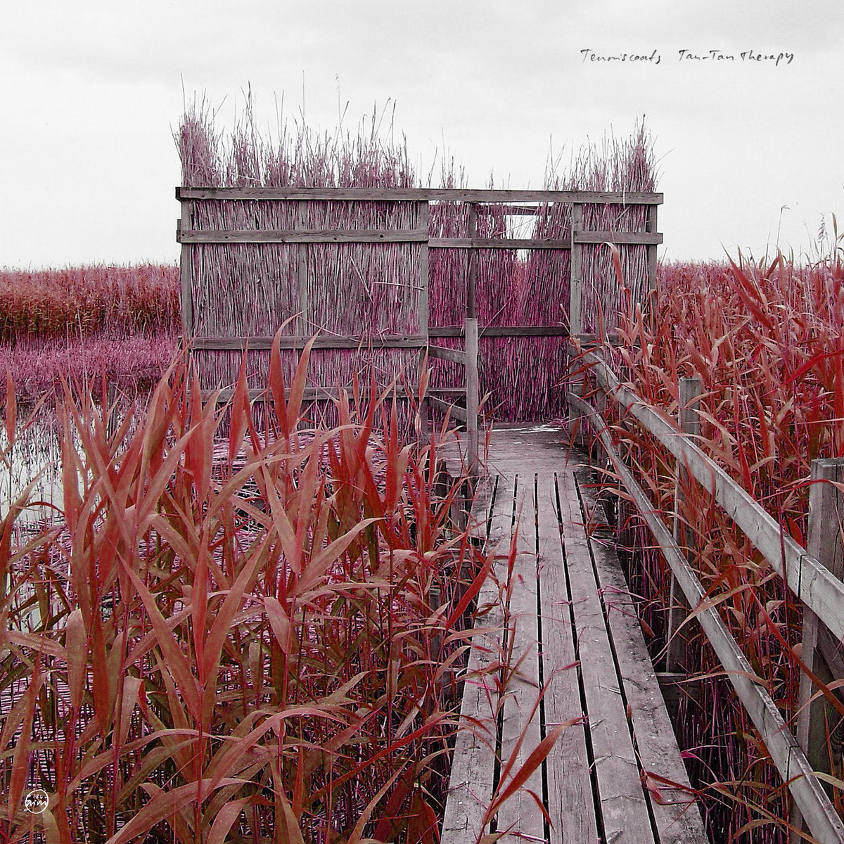 Tenniscoats – Tan-Tan Therapy